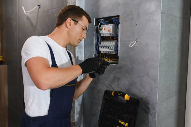Best Electrical Upgrades for Homes  in Wonder Lake, IL