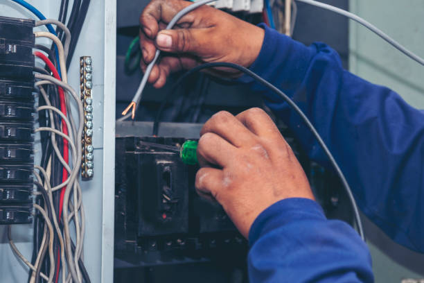 Best Home Electrical Repair  in Wonder Lake, IL