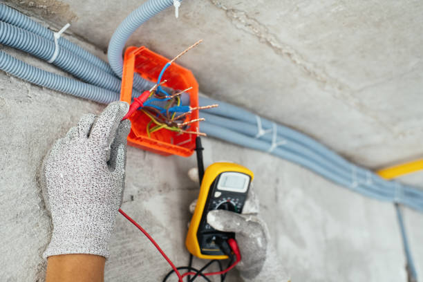 Best Electric Panel Repair  in Wonder Lake, IL